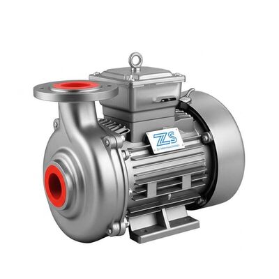 Giá tốt 2900-3450 Rpm ZS Thép không gỉ máy bơm ly tâm ngang một giai đoạn 50 60 Hz tần số bền chống ăn mòn trực tuyến